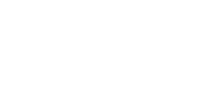 Horizontal-BigID-Logo----white-no-slogan_50