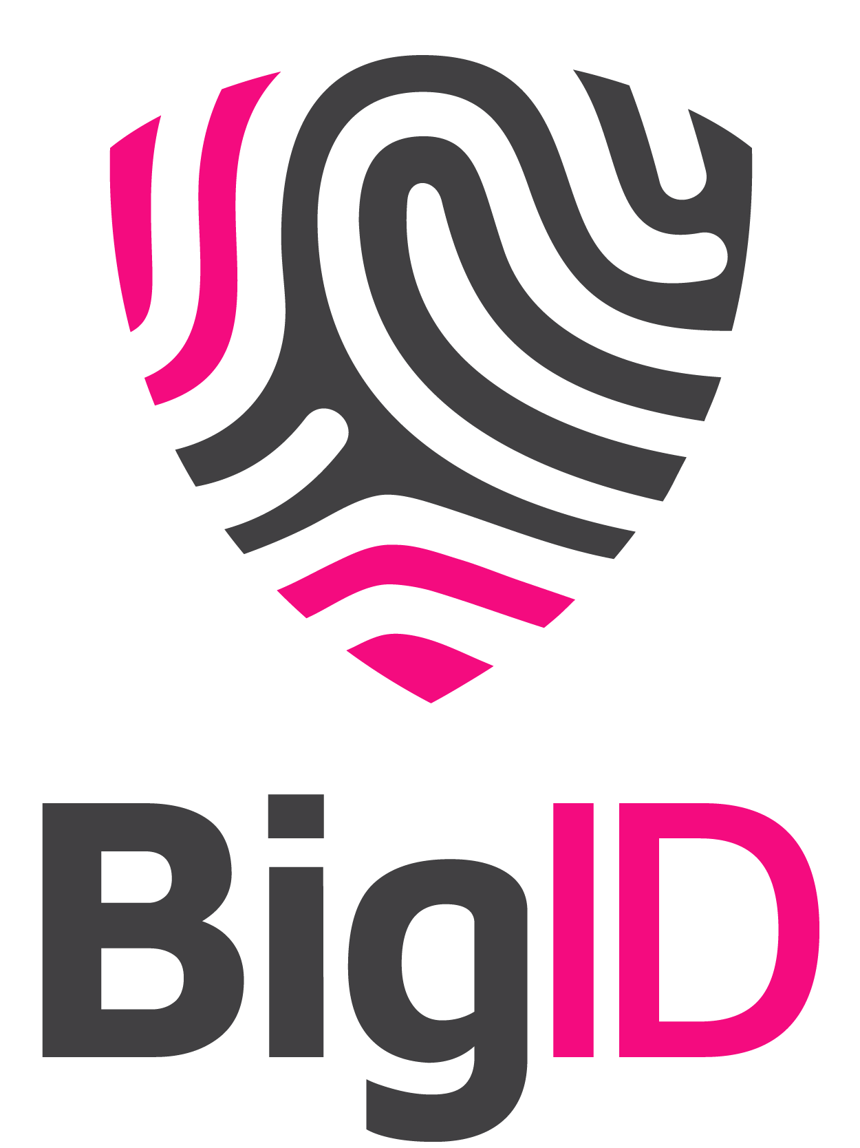 Logo_BigID Gray-Pink Vertical-1